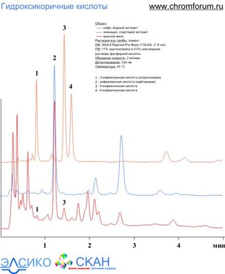 ech_2.jpg (50.21 Кб) Просмотров: 8128 ech_2.jpg