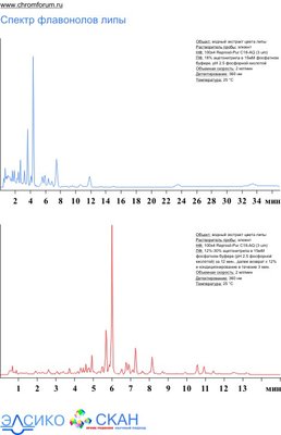 lipa_1.jpg (53.4 Кб) Просмотров: 9594 lipa_1.jpg