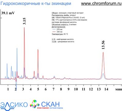 ech_1.jpg (41.16 Кб) Просмотров: 9594 ech_1.jpg